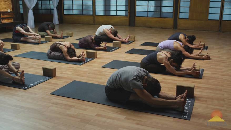 Yin Yoga - UDAYA Yoga & Fitness