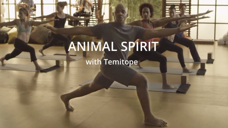 Animal Spirit Yoga