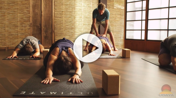 Yoga Foundations 2 with Travis Eliot